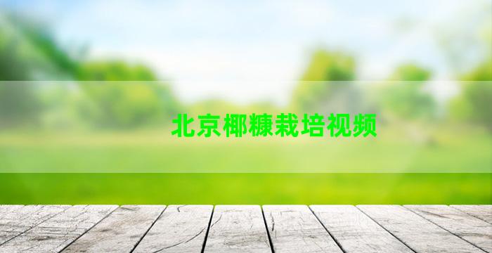 北京椰糠栽培视频